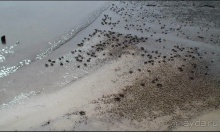 Бразилия по-простому. 13. По реке к океану. 13 !