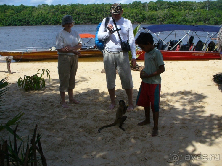 Бразилия по-простому. 13. По реке к океану. 13 !