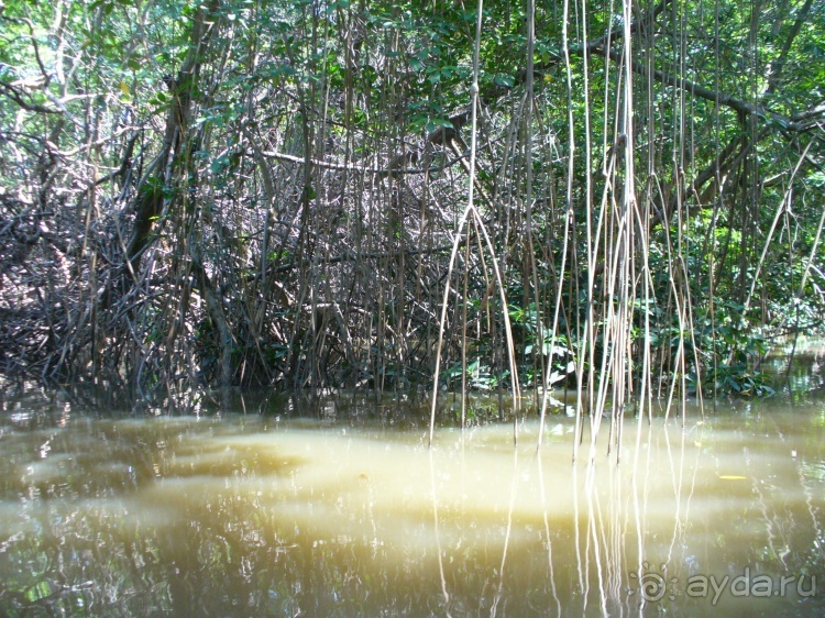 Бразилия по-простому. 13. По реке к океану. 13 !