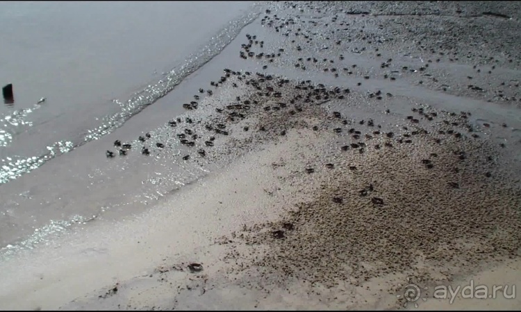 Бразилия по-простому. 13. По реке к океану. 13 !