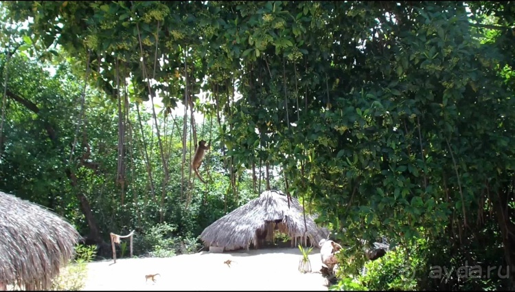 Бразилия по-простому. 13. По реке к океану. 13 !