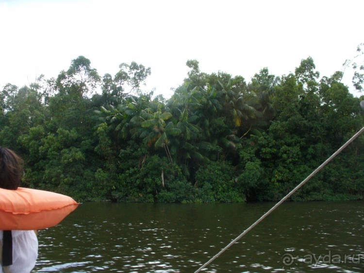 Бразилия по-простому. 13. По реке к океану. 13 !