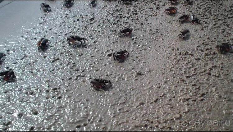 Бразилия по-простому. 13. По реке к океану. 13 !