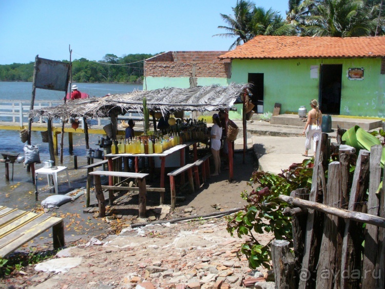 Бразилия по-простому. 13. По реке к океану. 13 !