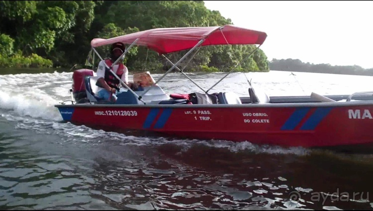 Бразилия по-простому. 13. По реке к океану. 13 !