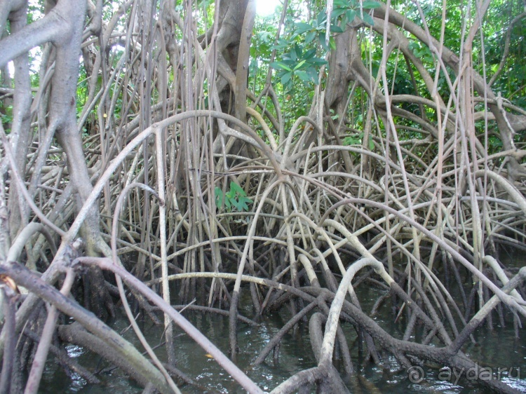 Бразилия по-простому. 13. По реке к океану. 13 !