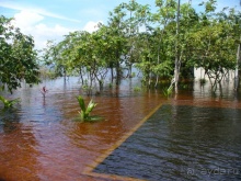 Бразилия по-простому. 8. Ночной Манаус. Амазония.