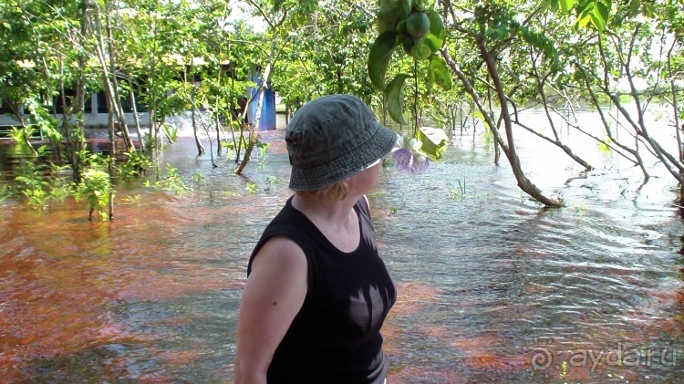 Бразилия по-простому. 8. Ночной Манаус. Амазония.