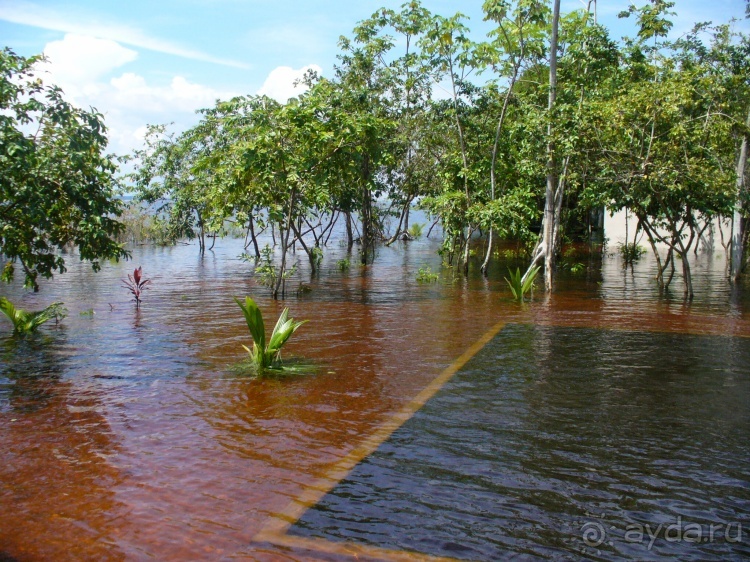 Бразилия по-простому. 8. Ночной Манаус. Амазония.