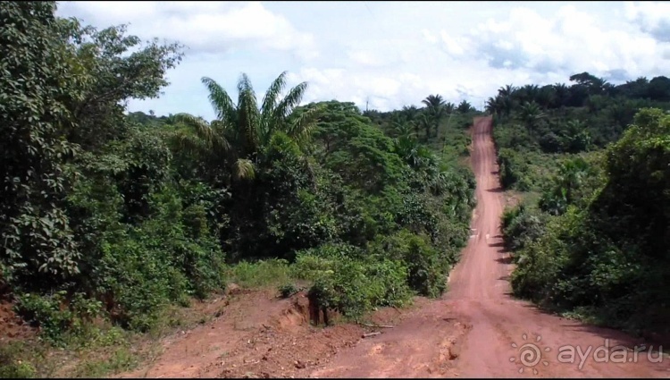 Бразилия по-простому. 8. Ночной Манаус. Амазония.