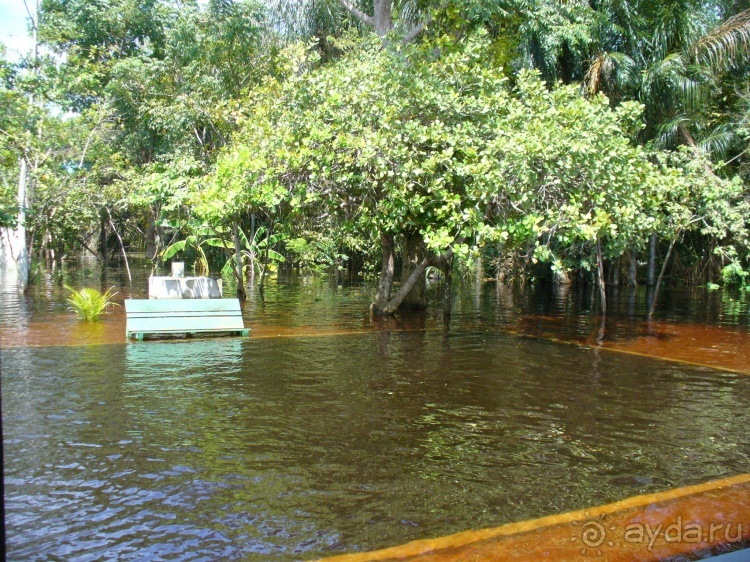 Бразилия по-простому. 8. Ночной Манаус. Амазония.