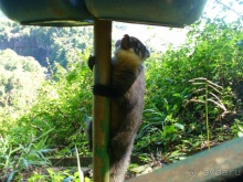 Альбом отзыва "Бразилия по-простому. 2. Бразильские водопады Игуасу."