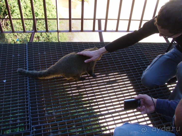 Бразилия по-простому. 2. Бразильские водопады Игуасу.