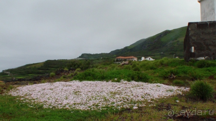 "Азоры это ..."Остров 2.Flores (продолжение) и 3.Corvo