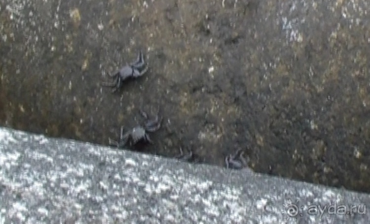 "Азоры это ..."Остров 2.Flores (продолжение) и 3.Corvo