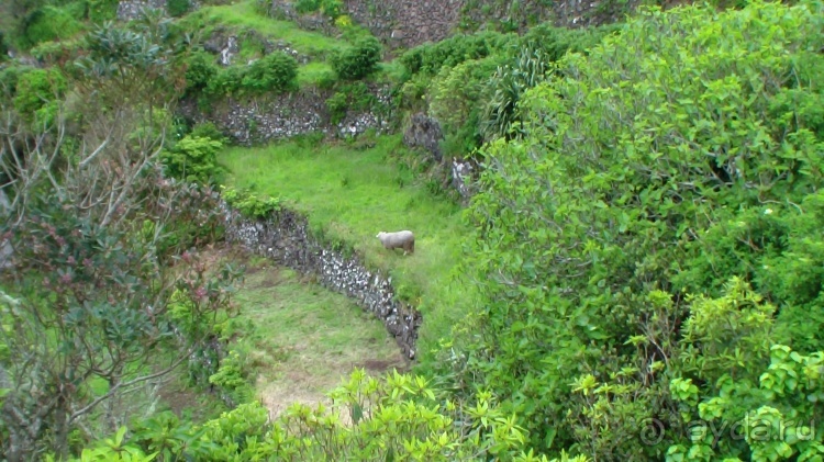 "Азоры это ..."Остров 2.Flores (продолжение) и 3.Corvo