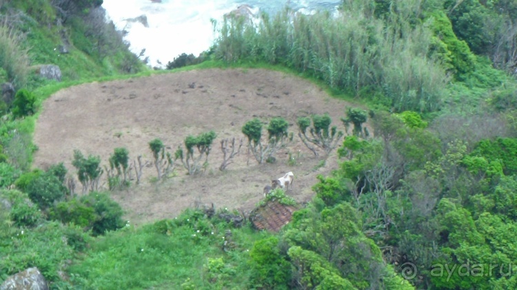 "Азоры это ..."Остров 2.Flores (продолжение) и 3.Corvo