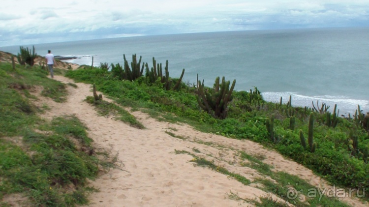 Живая Бразилия. Инструкция по применению. 3. Штат Сeará