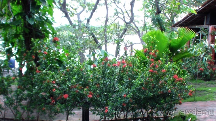 Живая Бразилия. Инструкция по применению. 3. Штат Сeará