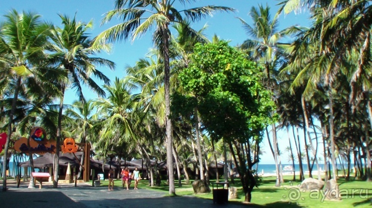 Живая Бразилия. Инструкция по применению. 3. Штат Сeará