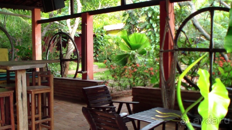 Живая Бразилия. Инструкция по применению. 3. Штат Сeará