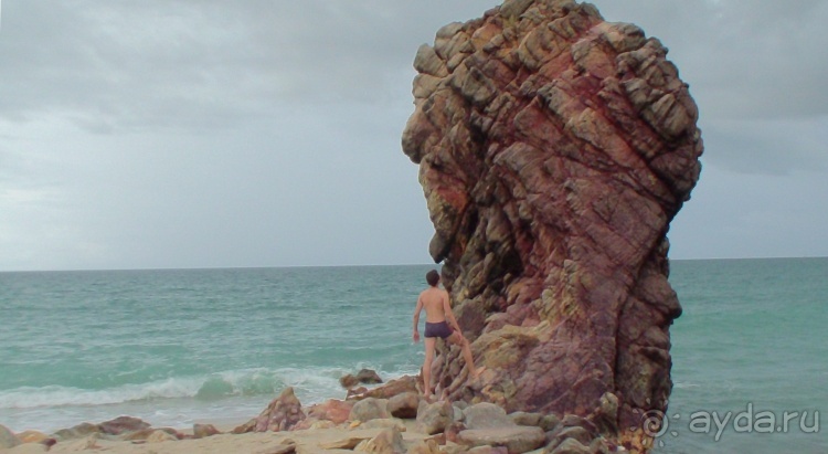 Живая Бразилия. Инструкция по применению. 3. Штат Сeará