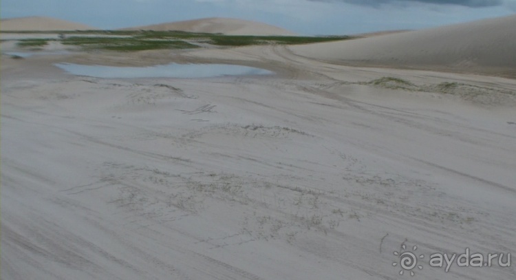 Живая Бразилия. Инструкция по применению. 3. Штат Сeará