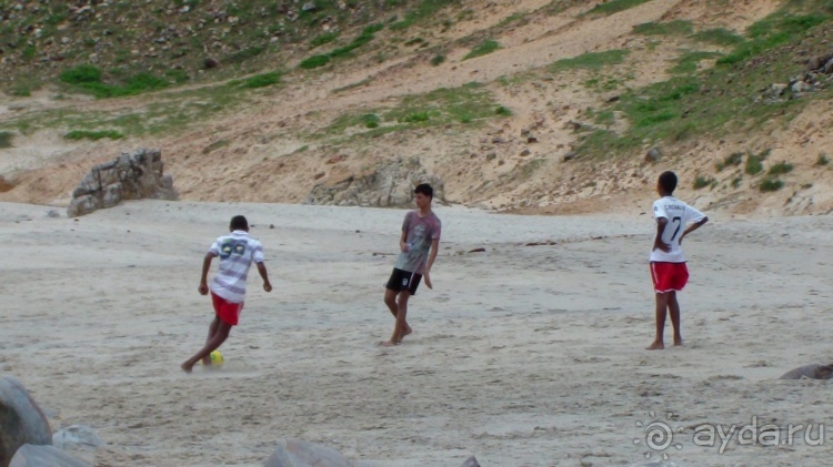 Живая Бразилия. Инструкция по применению. 3. Штат Сeará