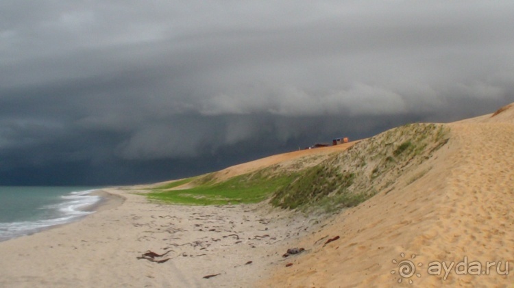 Живая Бразилия. Инструкция по применению. 3. Штат Сeará