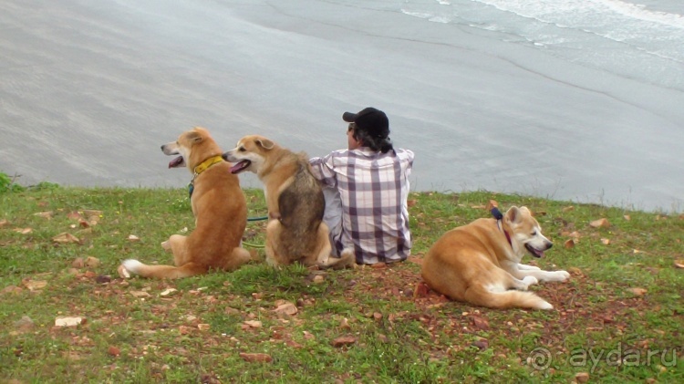 Живая Бразилия. Инструкция по применению. 3. Штат Сeará