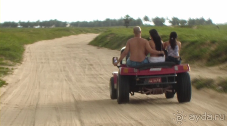 Живая Бразилия. Инструкция по применению. 3. Штат Сeará