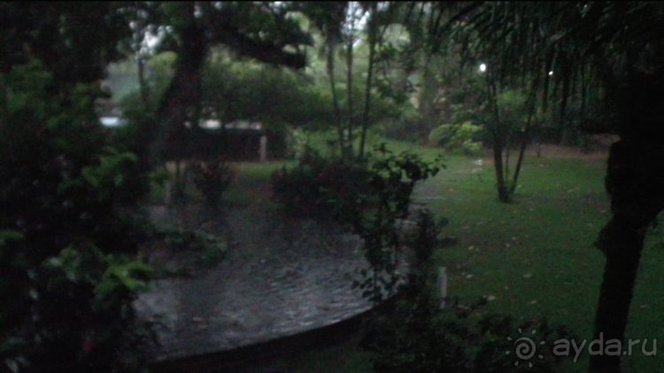 Живая Бразилия. Инструкция по применению. 3. Штат Сeará