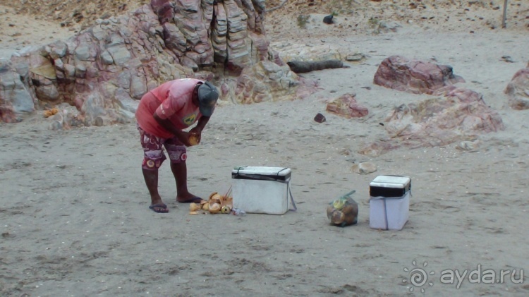 Живая Бразилия. Инструкция по применению. 3. Штат Сeará