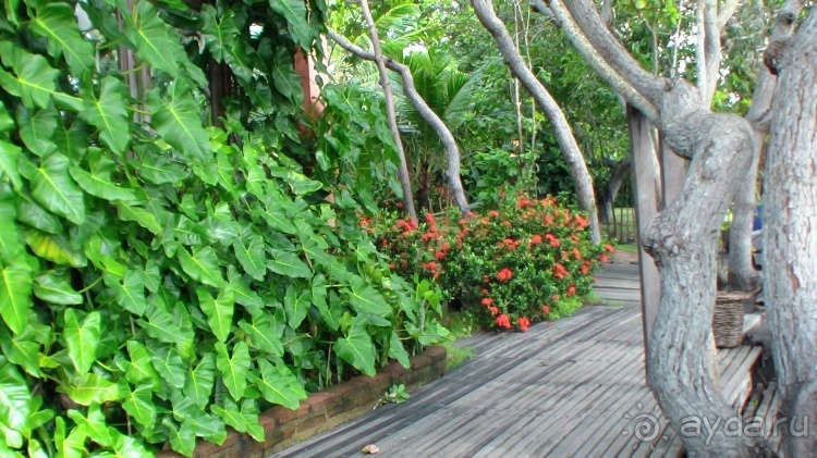 Живая Бразилия. Инструкция по применению. 3. Штат Сeará