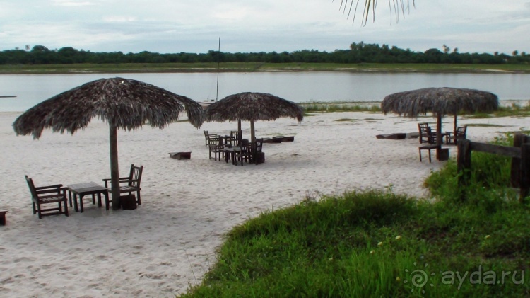 Живая Бразилия. Инструкция по применению. 3. Штат Сeará