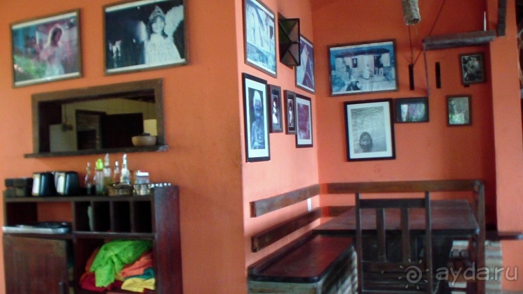 Живая Бразилия. Инструкция по применению. 3. Штат Сeará