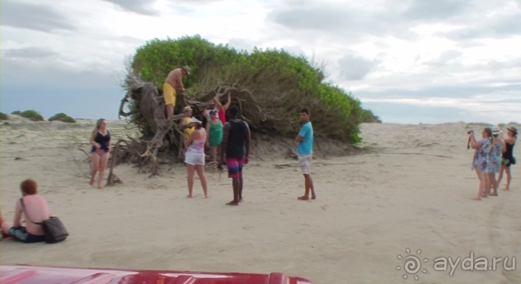 Живая Бразилия. Инструкция по применению. 3. Штат Сeará