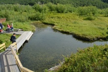 Наш полуостров. Часть 3. Вертолётная экскурсия № 1.