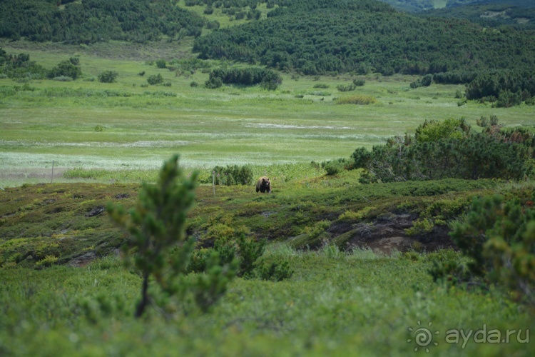 Наш полуостров. Часть 3. Вертолётная экскурсия № 1.