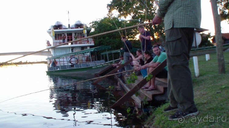 Живая Бразилия.2/2.Штат Mato Grosso do Sul. Pantanal