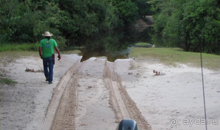 Живая Бразилия.2/2.Штат Mato Grosso do Sul. Pantanal