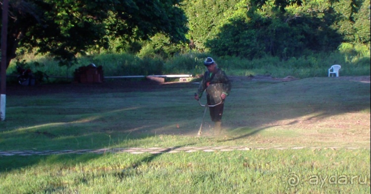 Живая Бразилия.2/2.Штат Mato Grosso do Sul. Pantanal Живая Бразилия.2/2.Штат Mato Grosso do Sul. Pantanal