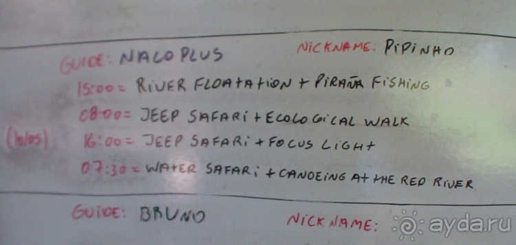 Живая Бразилия.2/2.Штат Mato Grosso do Sul. Pantanal Живая Бразилия.2/2.Штат Mato Grosso do Sul. Pantanal