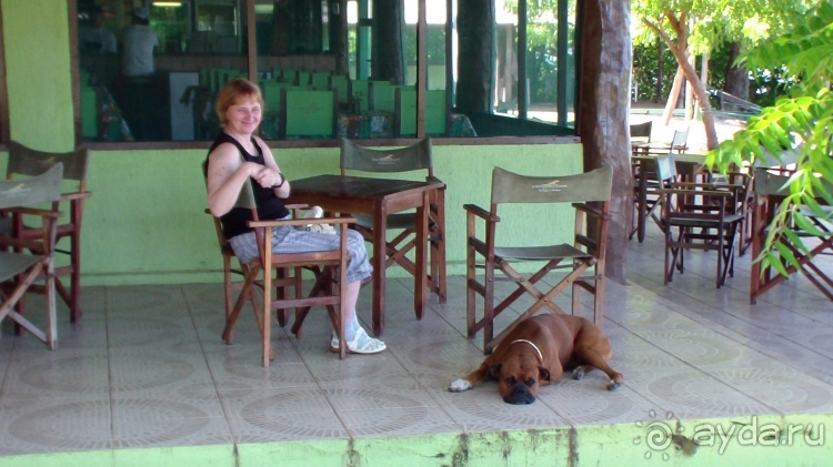 Живая Бразилия.2/2.Штат Mato Grosso do Sul. Pantanal