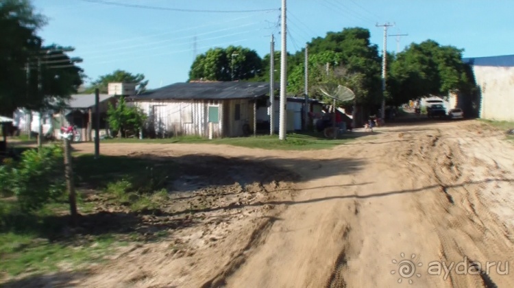 Живая Бразилия.2/2.Штат Mato Grosso do Sul. Pantanal Живая Бразилия.2/2.Штат Mato Grosso do Sul. Pantanal