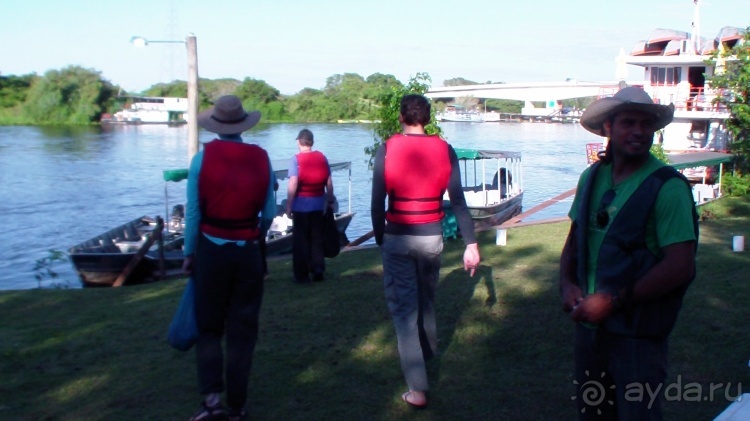 Живая Бразилия.2/2.Штат Mato Grosso do Sul. Pantanal