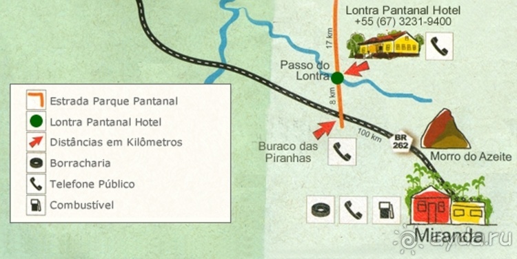 Живая Бразилия.2/2.Штат Mato Grosso do Sul. Pantanal Живая Бразилия.2/2.Штат Mato Grosso do Sul. Pantanal