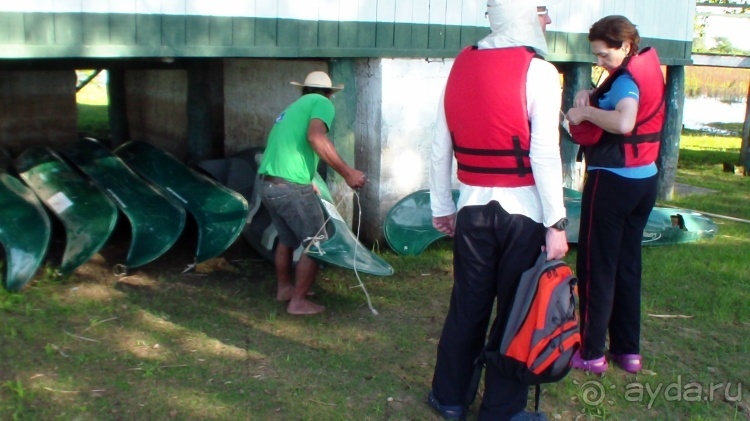 Живая Бразилия.2/2.Штат Mato Grosso do Sul. Pantanal