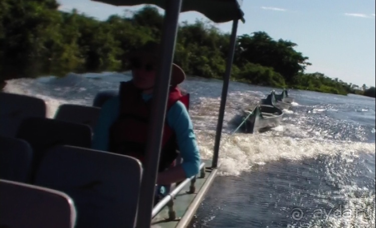 Живая Бразилия.2/2.Штат Mato Grosso do Sul. Pantanal