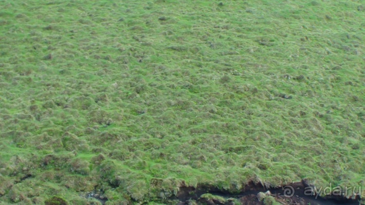 "Азоры..." Острова: 5.Pico (fin) 6.SãoJorge 7.Gracioza